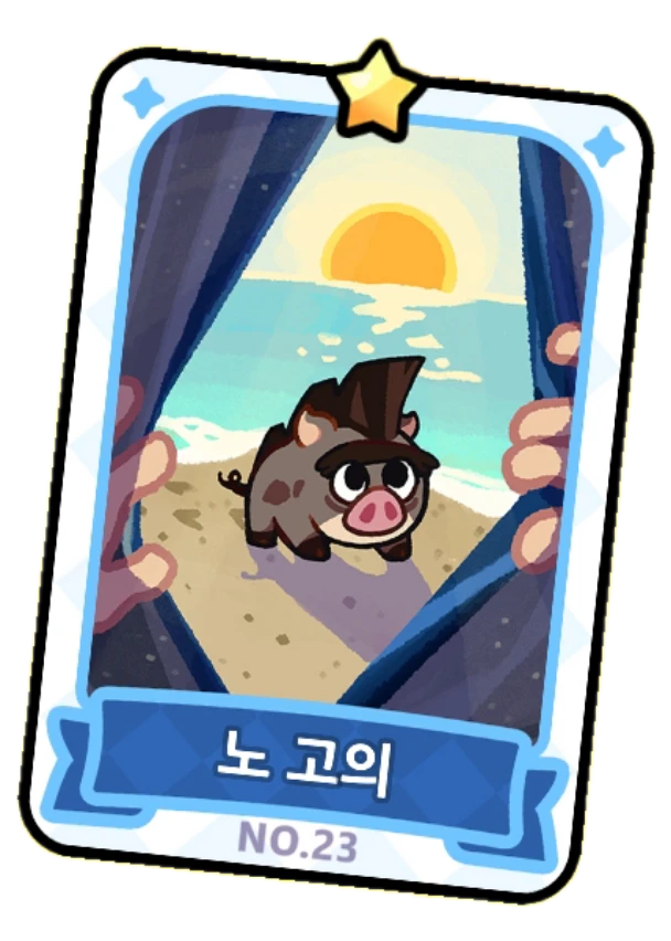 23번 카드