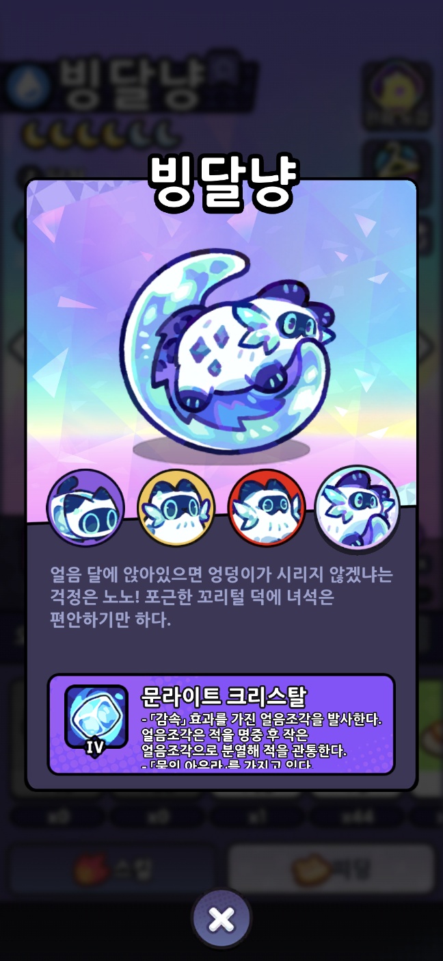 빙냥이 인게임 도감 캡쳐