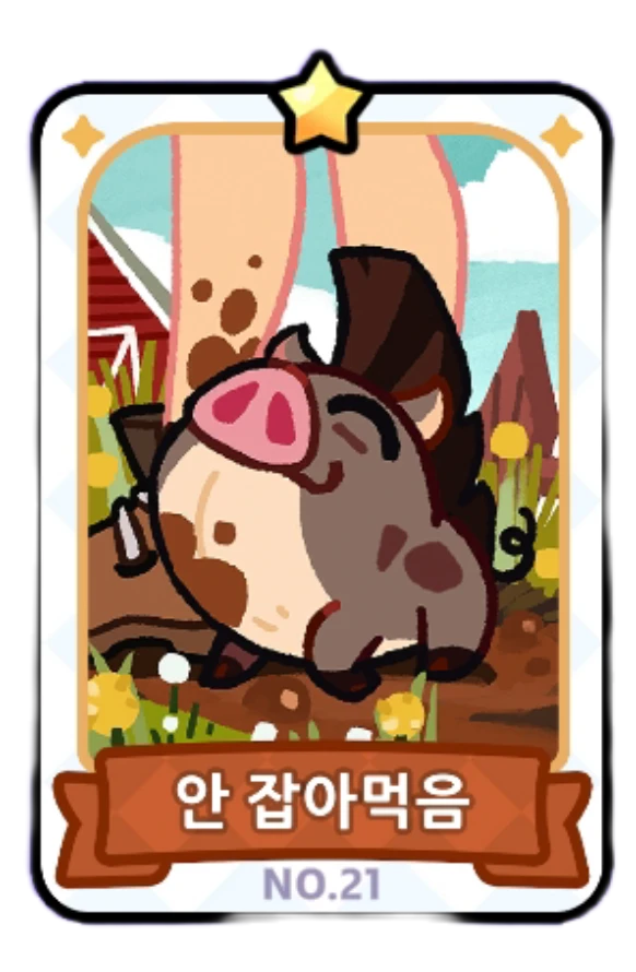 21번 카드