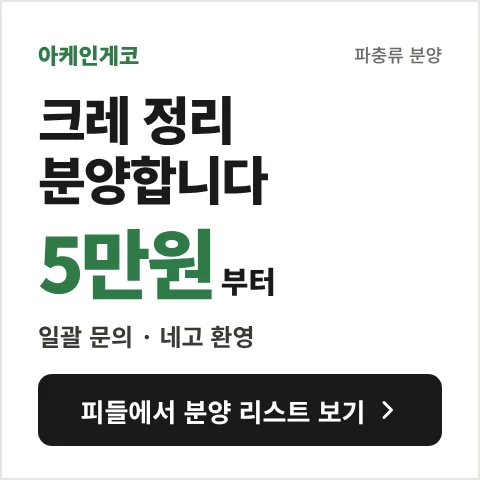 크레 정리 분양 합니다. 일괄 &네고 문의 환영